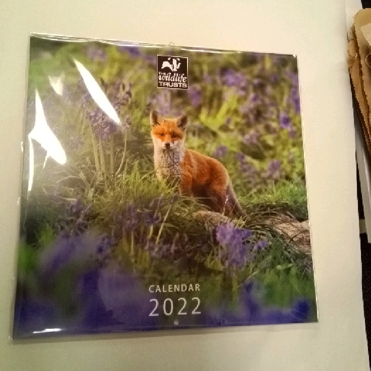 Wildlife Trust calendar Biobab